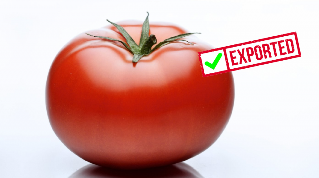 Coronavirus Boomed Turkey’s Food Export Straturka